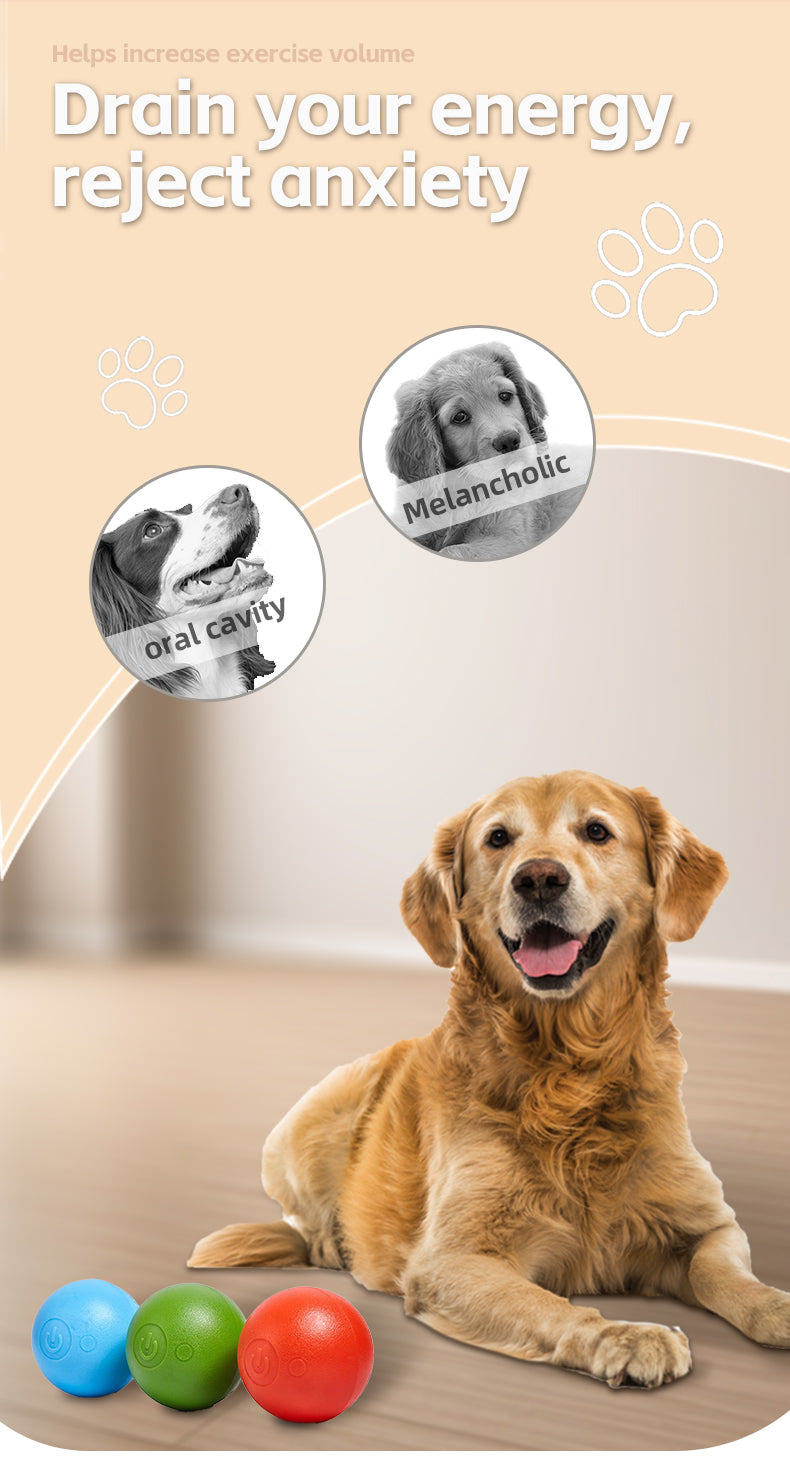 LSWOVE  Remote InteractiveElectric Dog Toys Ball Activated Rolling Ball With Light Moving Bouncing Ball For Medium Dogs,USB Recharg, Fun Engaging Gift